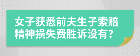 女子獲悉前夫生子索賠精神損失費勝訴沒有？