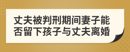 丈夫被判刑期間妻子能否留下孩子與丈夫離婚