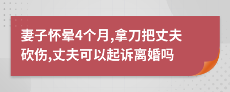 妻子懷暈4個月,拿刀把丈夫砍傷,丈夫可以起訴離婚嗎