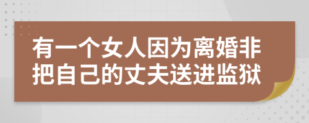 有一個(gè)女人因?yàn)殡x婚非把自己的丈夫送進(jìn)監(jiān)獄