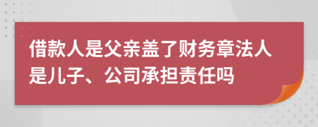 借款人是父親蓋了財務(wù)章法人是兒子、公司承擔(dān)責(zé)任嗎