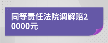 同等責(zé)任法院調(diào)解賠20000元