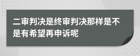 二審判決是終審判決那樣是不是有希望再申訴呢