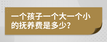 一個(gè)孩子一個(gè)大一個(gè)小的撫養(yǎng)費(fèi)是多少？