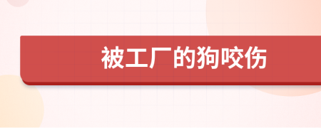 被工廠的狗咬傷