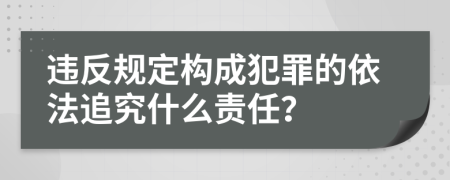 違反規(guī)定構(gòu)成犯罪的依法追究什么責(zé)任？