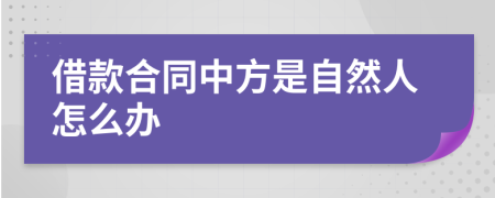 借款合同中方是自然人怎么辦