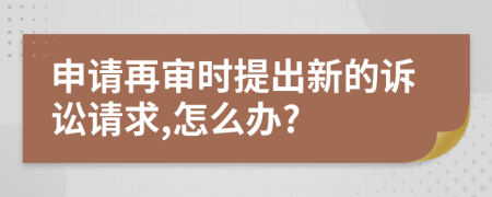 申請(qǐng)?jiān)賹彆r(shí)提出新的訴訟請(qǐng)求,怎么辦?