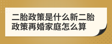二胎政策是什么新二胎政策再婚家庭怎么算