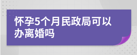 懷孕5個月民政局可以辦離婚嗎