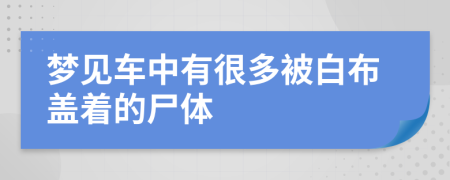 夢見車中有很多被白布蓋著的尸體