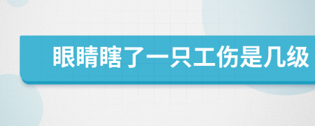 眼睛瞎了一只工傷是幾級(jí)