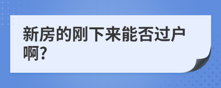 新房的剛下來能否過戶啊?