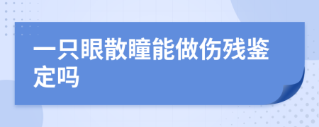 一只眼散瞳能做傷殘鑒定嗎