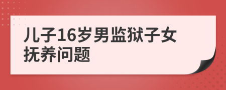 兒子16歲男監(jiān)獄子女撫養(yǎng)問題