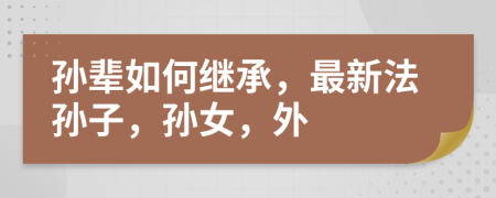 孫輩如何繼承，最新法孫子，孫女，外