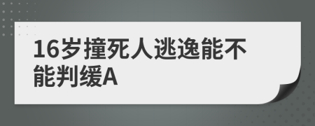 16歲撞死人逃逸能不能判緩A