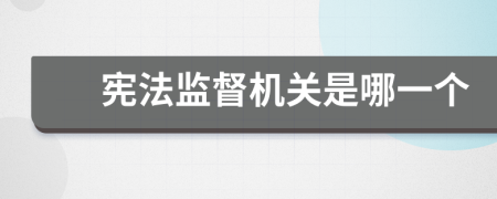 憲法監(jiān)督機(jī)關(guān)是哪一個