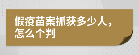 假疫苗案抓獲多少人，怎么個判