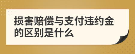 損害賠償與支付違約金的區(qū)別是什么