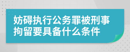 妨礙執(zhí)行公務罪被刑事拘留要具備什么條件