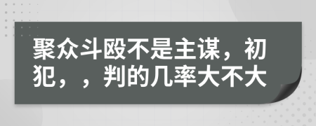 聚眾斗毆不是主謀，初犯，，判的幾率大不大