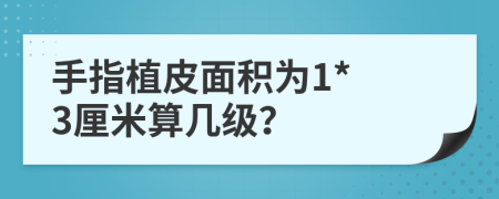 手指植皮面積為1* 3厘米算幾級？