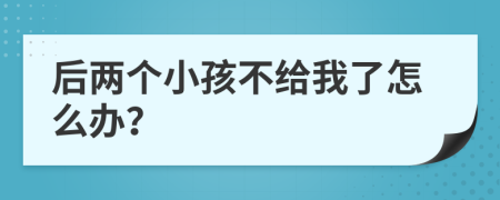 后兩個小孩不給我了怎么辦？