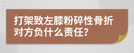 打架致左膝粉碎性骨折對(duì)方負(fù)什么責(zé)任？