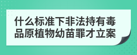 什么標(biāo)準(zhǔn)下非法持有毒品原植物幼苗罪才立案
