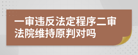 一審違反法定程序二審法院維持原判對(duì)嗎