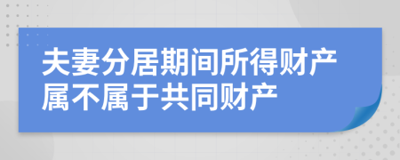 夫妻分居期間所得財產(chǎn)屬不屬于共同財產(chǎn)