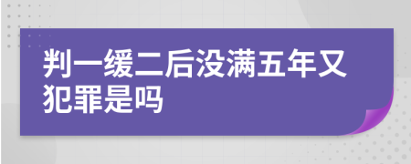 判一緩二后沒滿五年又犯罪是嗎
