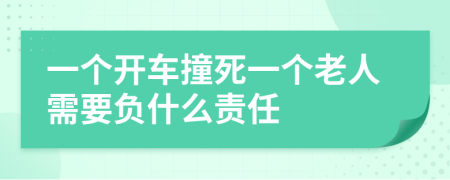 一個開車撞死一個老人需要負(fù)什么責(zé)任