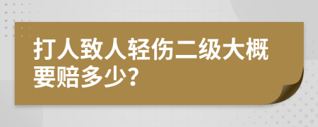 打人致人輕傷二級大概要賠多少？