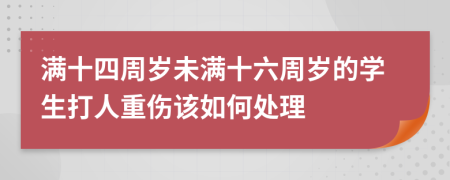 滿十四周歲未滿十六周歲的學(xué)生打人重傷該如何處理