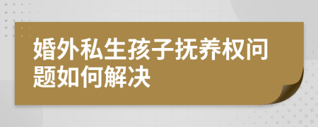 婚外私生孩子撫養(yǎng)權(quán)問題如何解決