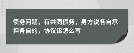 債務(wù)問題，有共同債務(wù)，男方說各自承擔(dān)各自的，協(xié)議該怎么寫