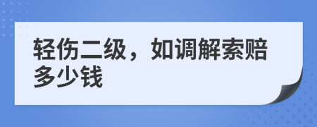 輕傷二級，如調(diào)解索賠多少錢