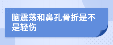 腦震蕩和鼻孔骨折是不是輕傷