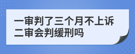 一審判了三個(gè)月不上訴二審會判緩刑嗎