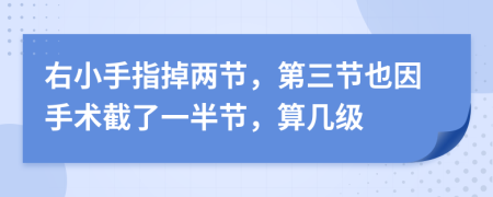 右小手指掉兩節(jié)，第三節(jié)也因手術(shù)截了一半節(jié)，算幾級