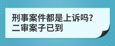 刑事案件都是上訴嗎？二審案子已到