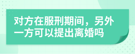 對方在服刑期間，另外一方可以提出離婚嗎