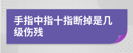 手指中指十指斷掉是幾級傷殘