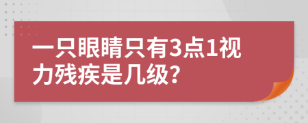 一只眼睛只有3點1視力殘疾是幾級？