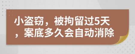 小盜竊，被拘留過5天，案底多久會自動消除