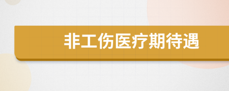 非工傷醫(yī)療期待遇