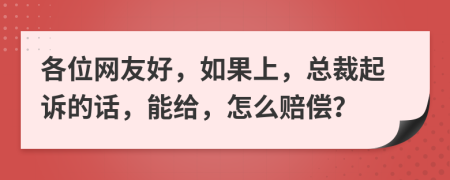 各位網(wǎng)友好，如果上，總裁起訴的話，能給，怎么賠償？