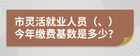 市靈活就業(yè)人員（、）今年繳費(fèi)基數(shù)是多少？